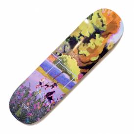 Brian Lotti Courts (C2) Skateboard Deck 8.25''