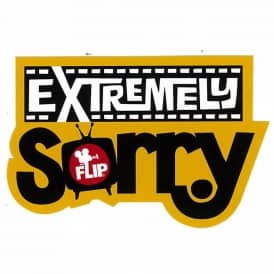 非売品 FLIP SORRY ディーラーステッカー Flip Skateboards Flip Extremely Sorry Sticker - Skateboard