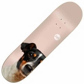 Friends Skateboard Deck 8.125"