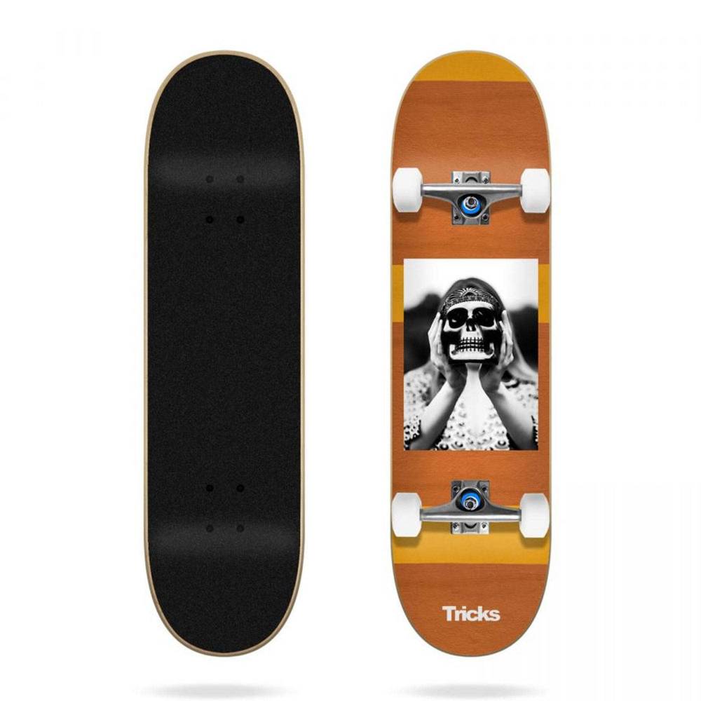 Tricks Skateboard Complete „Bowl“ – 7,875 Zoll Komplettboard Für Anfänger & Fortgeschrittene