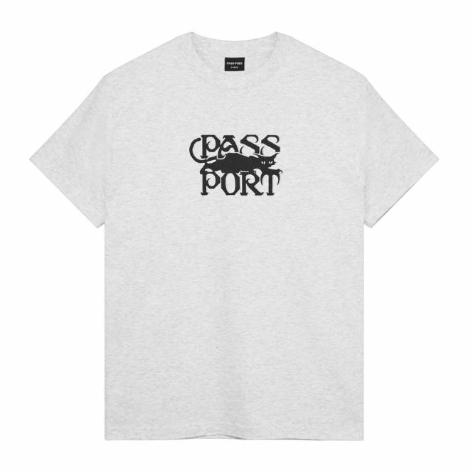 Passport Skateboards Slinkin' Skate T-Shirt - Ash